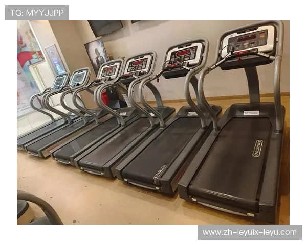 成都健身器材批发：成都地区健身器材批发市场的选择与价格分析