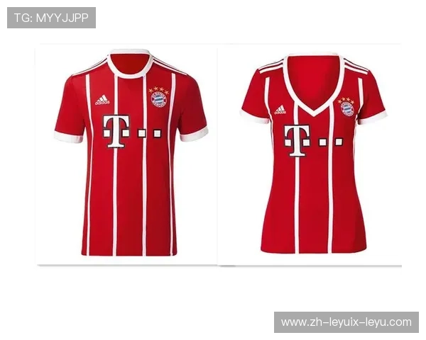 法甲球衣品牌统计与主要合作商分析报告