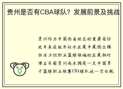 贵州是否有CBA球队？发展前景及挑战